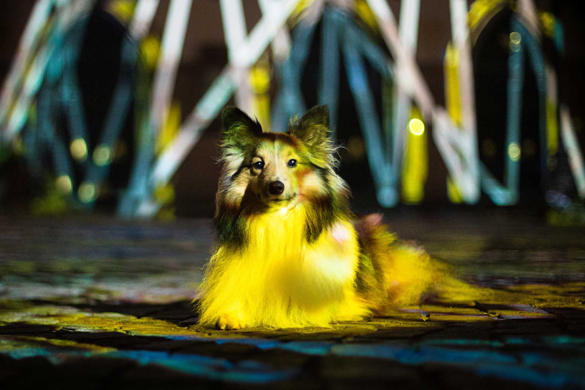 Milow Luminale